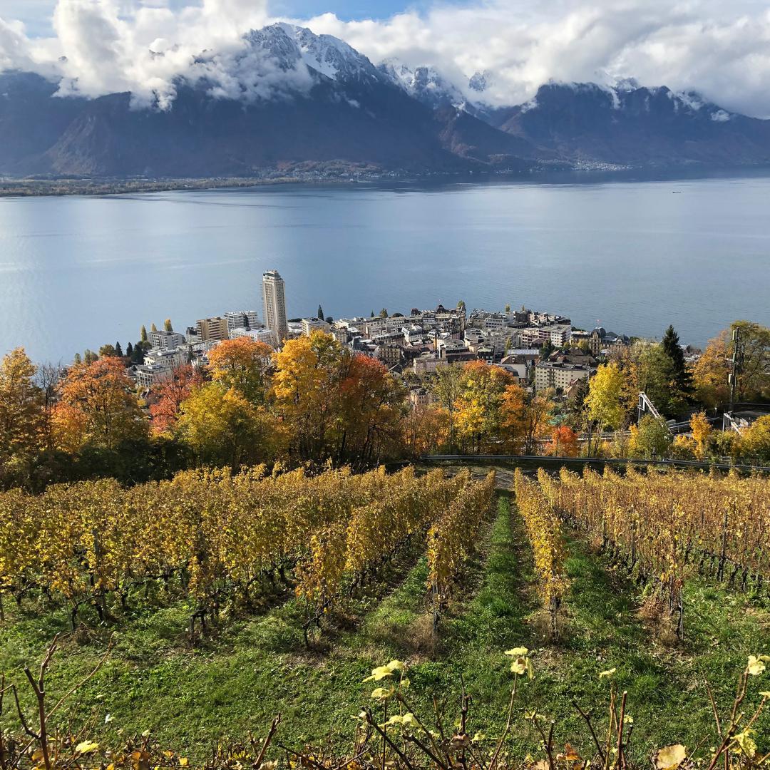 coteaux-harmonie_automne