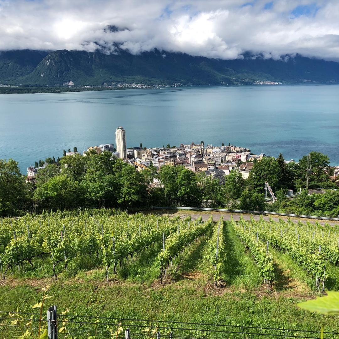 coteaux-harmonie_ete