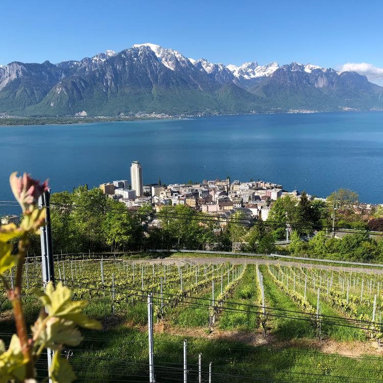 coteaux-harmonie_printemps (1)